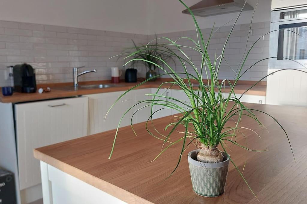 Ferienwohnung Stern Unterthingau Exteriér fotografie